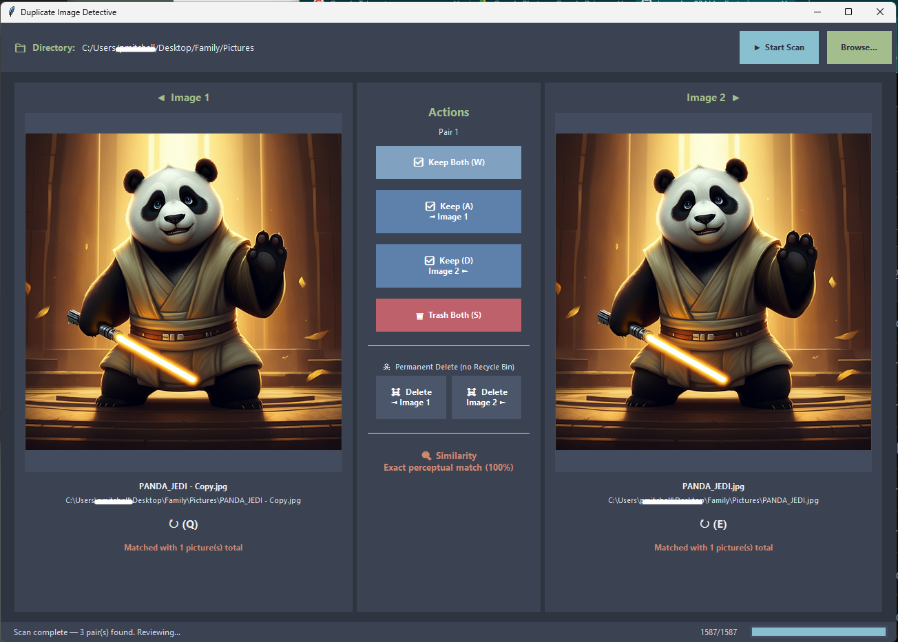 Duplicate Image Detective Interface